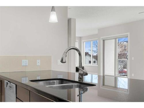 203-488 7 Avenue Ne, Calgary, AB - Indoor Photo Showing Kitchen With Double Sink