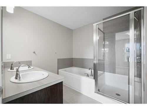 176 Auburn Meadows Boulevard Se, Calgary, AB - Indoor Photo Showing Bathroom