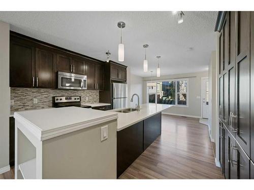 176 Auburn Meadows Boulevard Se, Calgary, AB - Indoor Photo Showing Kitchen With Stainless Steel Kitchen With Double Sink With Upgraded Kitchen