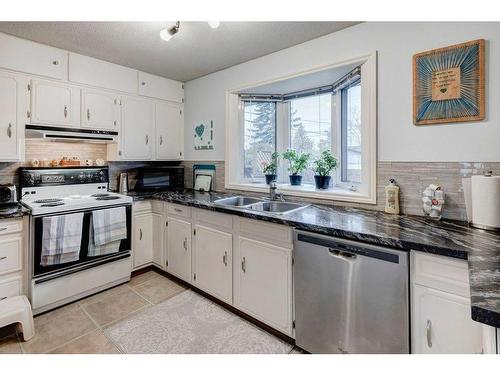 635 Marian Crescent Ne, Calgary, AB - Indoor Photo Showing Kitchen With Double Sink