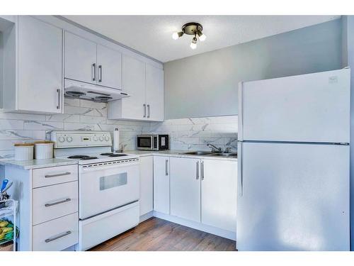 16 Pasadena Gardens Ne, Calgary, AB - Indoor Photo Showing Kitchen