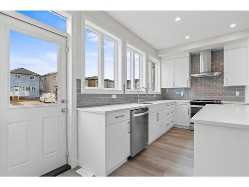 397 Cornerbrook Road Ne, Calgary, AB - Indoor Photo Showing Kitchen With Upgraded Kitchen