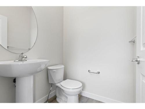 397 Cornerbrook Road Ne, Calgary, AB - Indoor Photo Showing Bathroom