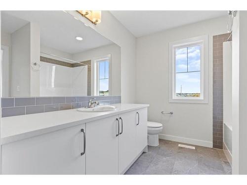 397 Cornerbrook Road Ne, Calgary, AB - Indoor Photo Showing Bathroom