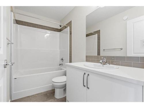 397 Cornerbrook Road Ne, Calgary, AB - Indoor Photo Showing Bathroom