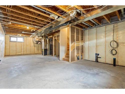 397 Cornerbrook Road Ne, Calgary, AB - Indoor Photo Showing Basement