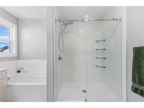 256 Willow Corner, Cochrane, AB - Indoor Photo Showing Bathroom