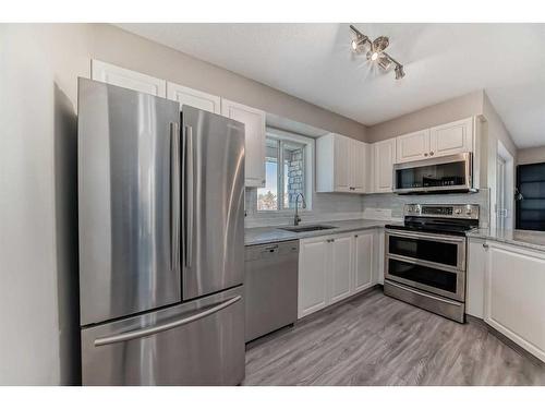 1301-6635 25 Avenue Ne, Calgary, AB - Indoor Photo Showing Kitchen