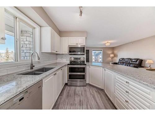 1301-6635 25 Avenue Ne, Calgary, AB - Indoor Photo Showing Kitchen With Double Sink With Upgraded Kitchen