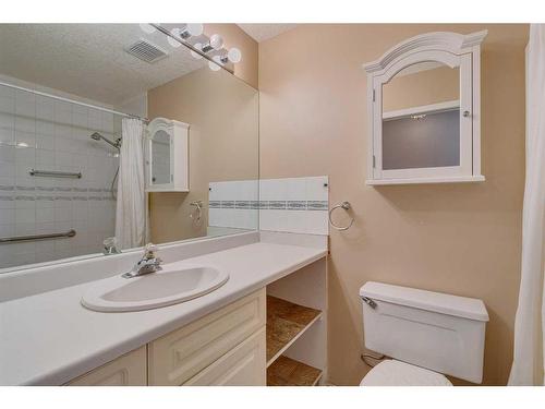 182 Riverview Point Se, Calgary, AB - Indoor Photo Showing Bathroom