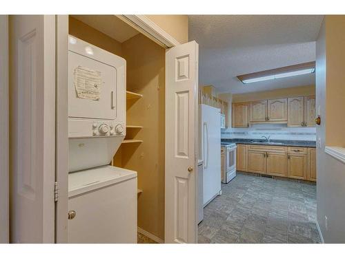 182 Riverview Point Se, Calgary, AB - Indoor Photo Showing Laundry Room