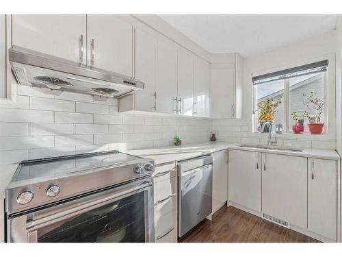 117 Martin Crossing Crescent Ne, Calgary, AB - Indoor Photo Showing Kitchen With Upgraded Kitchen