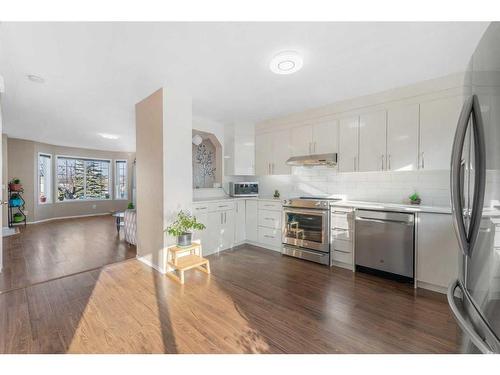 117 Martin Crossing Crescent Ne, Calgary, AB - Indoor Photo Showing Kitchen With Stainless Steel Kitchen