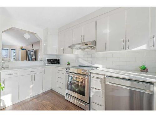 117 Martin Crossing Crescent Ne, Calgary, AB - Indoor Photo Showing Kitchen With Upgraded Kitchen