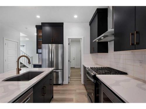 24 Cornerbrook Road Ne, Calgary, AB - Indoor Photo Showing Kitchen With Stainless Steel Kitchen With Upgraded Kitchen