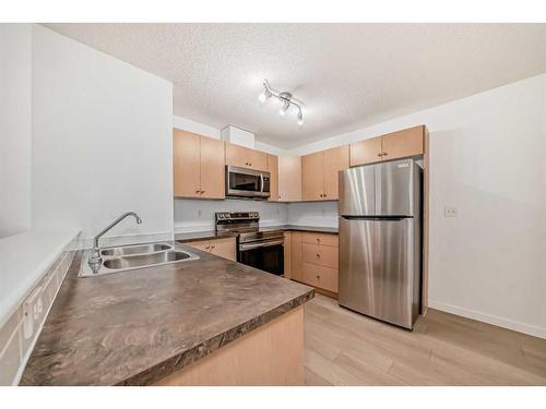 1108-16969 24 Street Sw, Calgary, AB - Indoor Photo Showing Kitchen With Double Sink