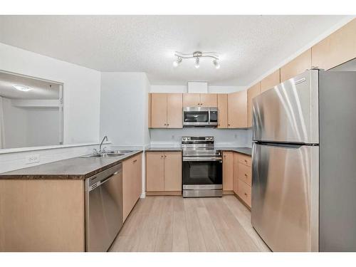 1108-16969 24 Street Sw, Calgary, AB - Indoor Photo Showing Kitchen With Double Sink