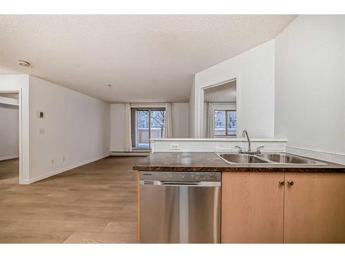 1108-16969 24 Street Sw, Calgary, AB - Indoor Photo Showing Kitchen With Double Sink