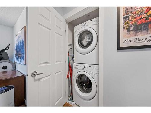 1311-99 Copperstone Park Se, Calgary, AB - Indoor Photo Showing Laundry Room