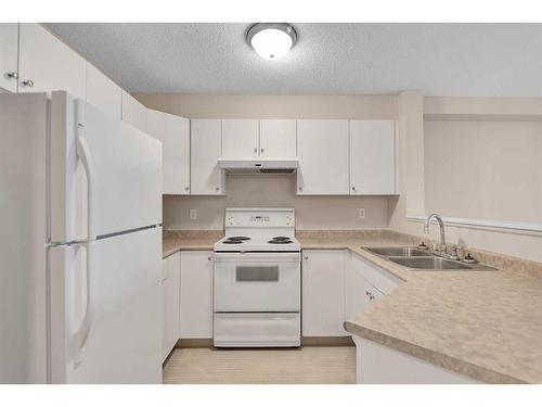 1106-604 8 Street Sw, Airdrie, AB - Indoor Photo Showing Kitchen With Double Sink