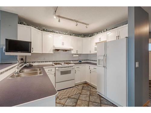 259 Coral Springs Mews Ne, Calgary, AB - Indoor Photo Showing Kitchen With Double Sink