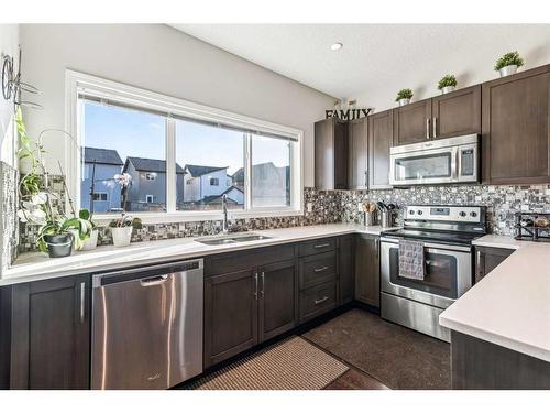 41 Copperpond Avenue Se, Calgary, AB - Indoor Photo Showing Kitchen With Stainless Steel Kitchen With Double Sink With Upgraded Kitchen