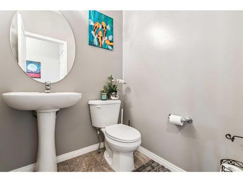 41 Copperpond Avenue Se, Calgary, AB - Indoor Photo Showing Bathroom