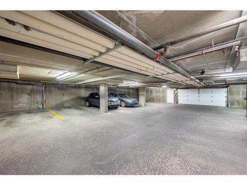 216-6000 Somervale Court Sw, Calgary, AB - Indoor Photo Showing Garage