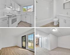 62-32 Whitnel Court NE Calgary, AB T1Y 5E3