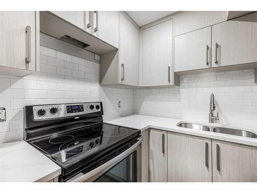 6740 Temple Drive Ne, Calgary, AB - Indoor Photo Showing Kitchen With Double Sink With Upgraded Kitchen