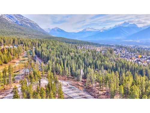 442 Mountain Tranquility Place, Canmore, AB 