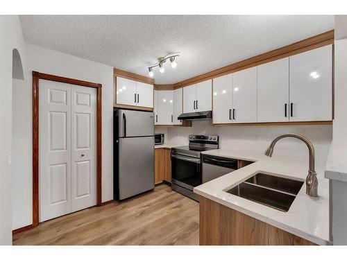 183 Coral Spings Circle Ne, Calgary, AB - Indoor Photo Showing Kitchen With Double Sink