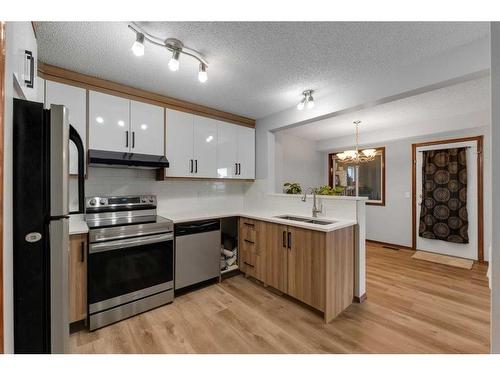 183 Coral Spings Circle Ne, Calgary, AB - Indoor Photo Showing Kitchen With Stainless Steel Kitchen With Double Sink