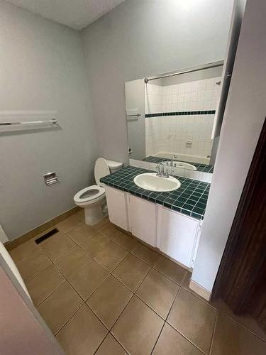 15-1919 69 Avenue Se, Calgary, AB - Indoor Photo Showing Bathroom