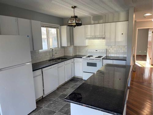 15-1919 69 Avenue Se, Calgary, AB - Indoor Photo Showing Kitchen With Double Sink