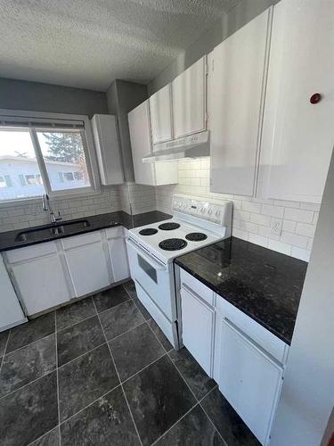 15-1919 69 Avenue Se, Calgary, AB - Indoor Photo Showing Kitchen With Double Sink