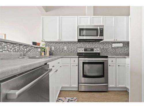 203-8108 109 Street Nw, Edmonton, AB - Indoor Photo Showing Kitchen With Double Sink