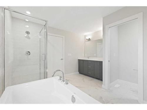 329 Copperhead Way Se, Calgary, AB - Indoor Photo Showing Bathroom