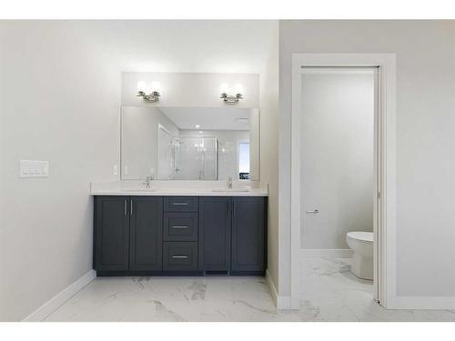 329 Copperhead Way Se, Calgary, AB - Indoor Photo Showing Bathroom