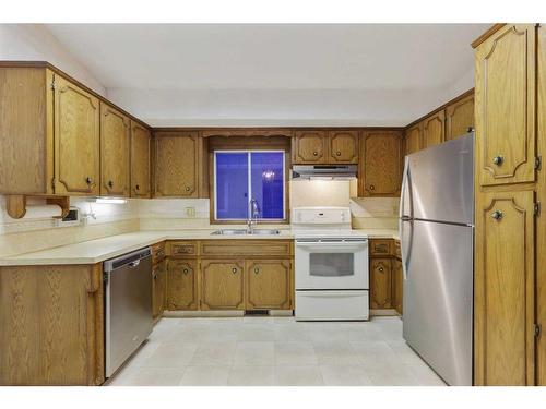 356 Whitworth Way Ne, Calgary, AB - Indoor Photo Showing Kitchen With Double Sink