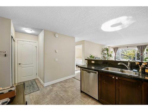 208-716 3 Avenue Nw, Calgary, AB - Indoor Photo Showing Kitchen With Double Sink