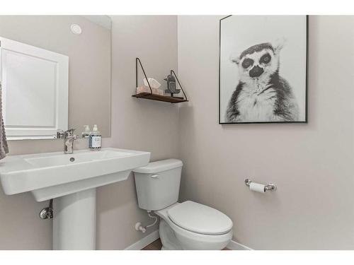 163 Masters Heights Se, Calgary, AB - Indoor Photo Showing Bathroom