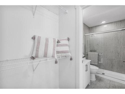 3 Cornerstone Row Ne, Calgary, AB - Indoor Photo Showing Bathroom