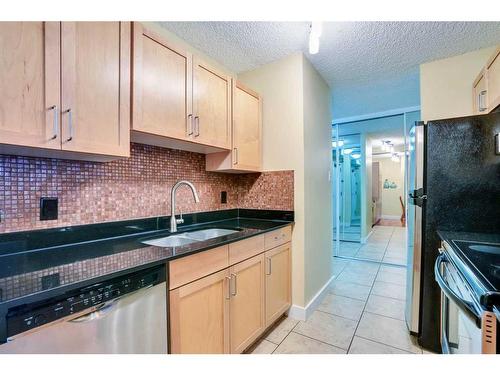 102-812 14 Avenue Sw, Calgary, AB - Indoor Photo Showing Kitchen With Double Sink