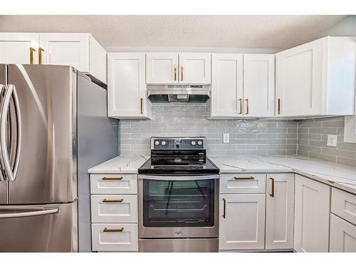 28 Bedford Circle Ne, Calgary, AB - Indoor Photo Showing Kitchen With Stainless Steel Kitchen With Upgraded Kitchen