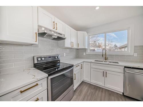 28 Bedford Circle Ne, Calgary, AB - Indoor Photo Showing Kitchen With Stainless Steel Kitchen With Double Sink With Upgraded Kitchen