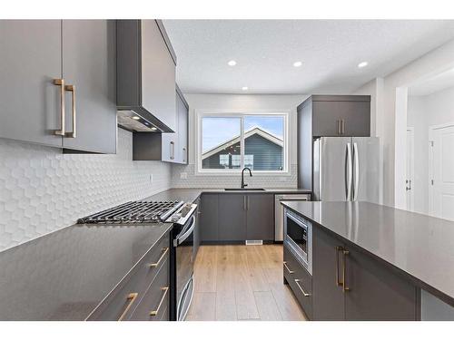 83 Sugarsnap Avenue Se, Calgary, AB - Indoor Photo Showing Kitchen With Stainless Steel Kitchen With Upgraded Kitchen