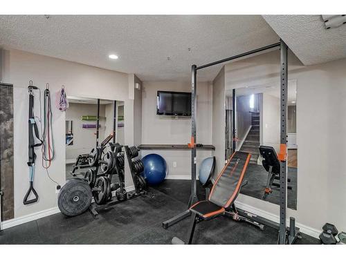 73 Applemont Place Se, Calgary, AB - Indoor Photo Showing Gym Room