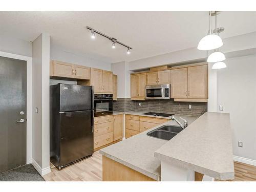 309-3101 34 Avenue Nw, Calgary, AB - Indoor Photo Showing Kitchen With Double Sink