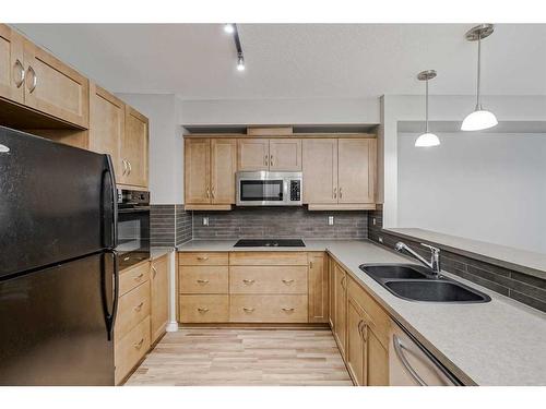 309-3101 34 Avenue Nw, Calgary, AB - Indoor Photo Showing Kitchen With Double Sink